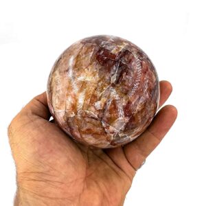 16335 3 Sarkaç Adam