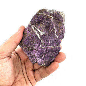 16455 2 scaled Sarkaç Adam