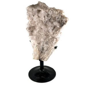 16495 1 Sarkaç Adam