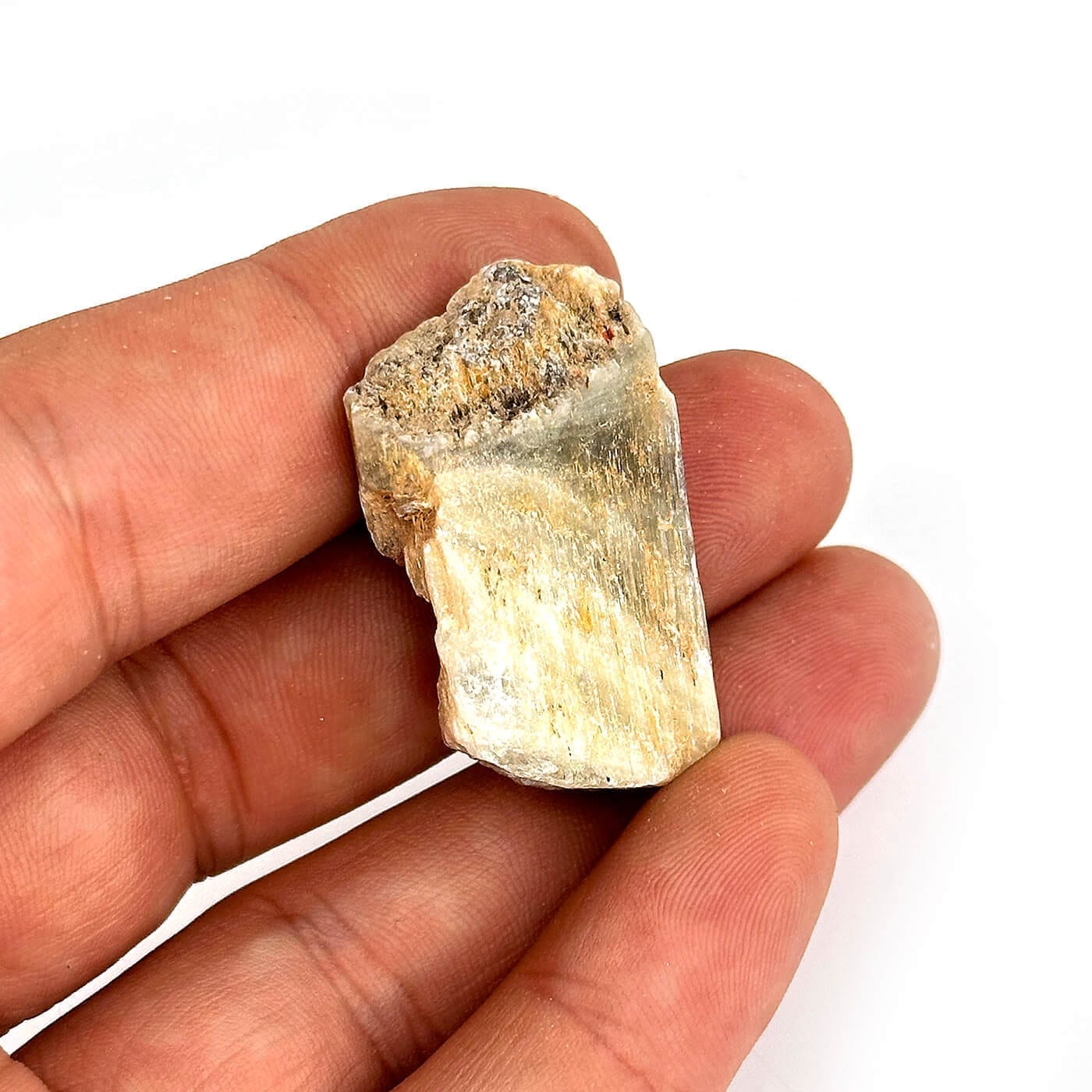 17105 2 Sarkaç Adam