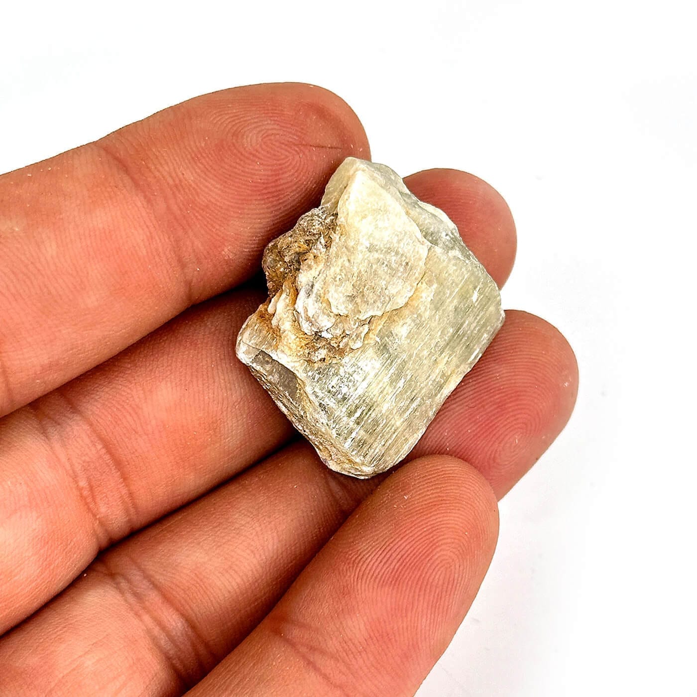 17107 2 Sarkaç Adam