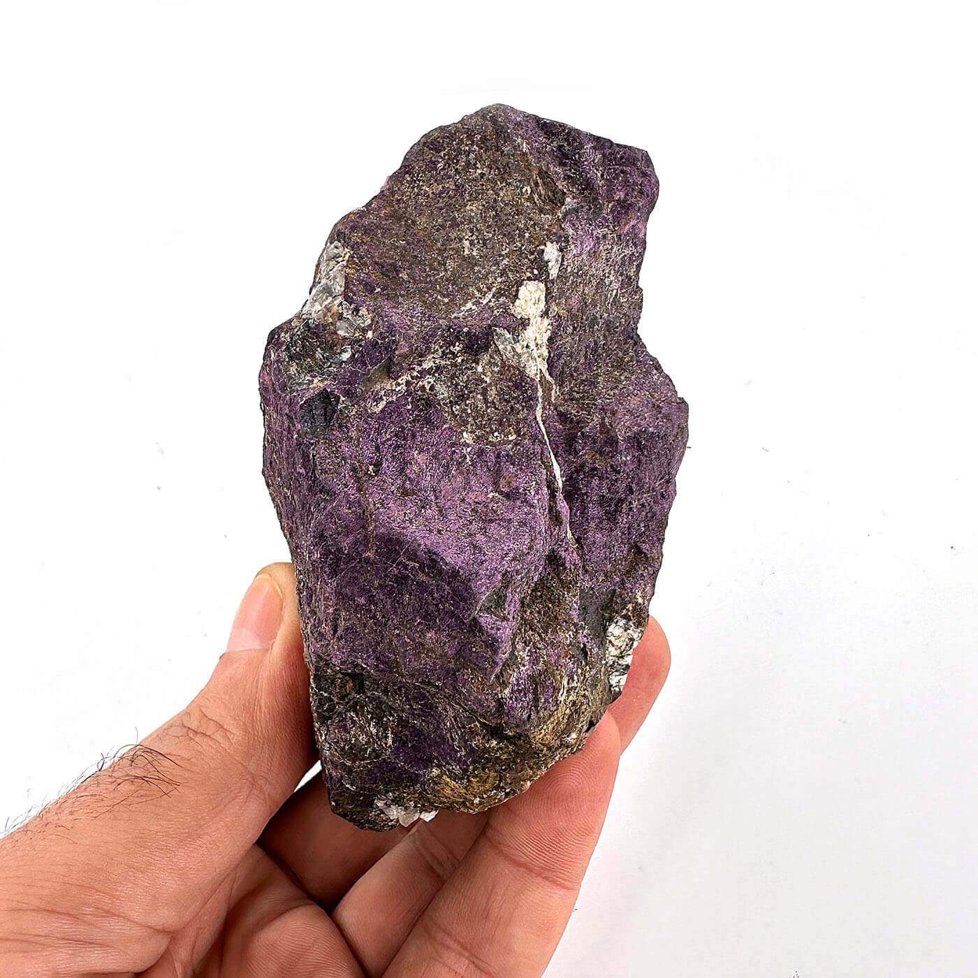 16523 1 Sarkaç Adam