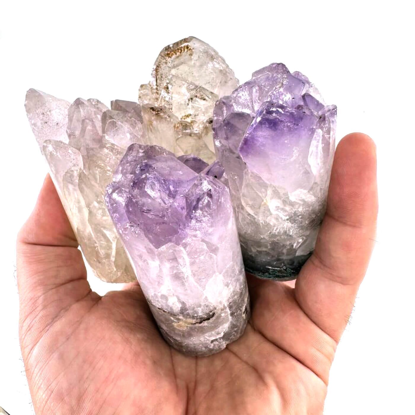 L Boy Ametist Sarkaç Adam