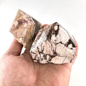 Pictures Jasper Power Point