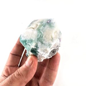 Alternative view of Florit Power Point