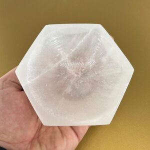 10921 4 Sarkaç Adam