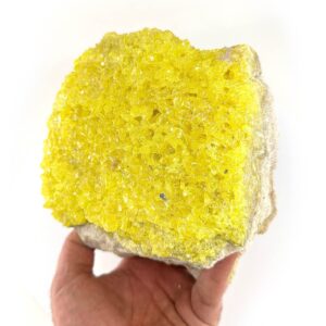 10924 2 Sarkaç Adam