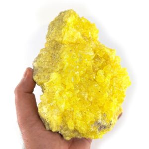 10925 1 Sarkaç Adam