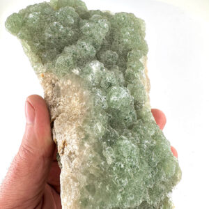 Alternative view of Florit Ham Taş AA