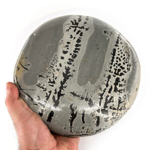 10930 1 Sarkaç Adam