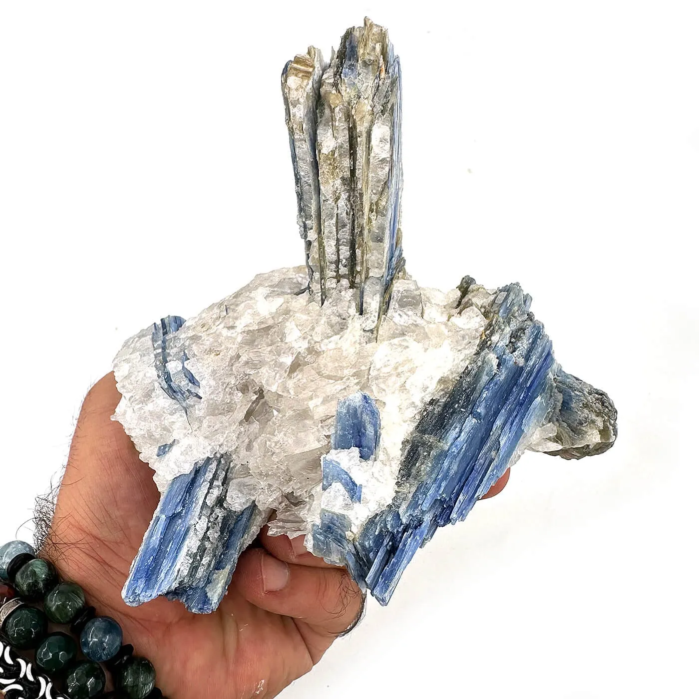 16189 2 Sarkaç Adam