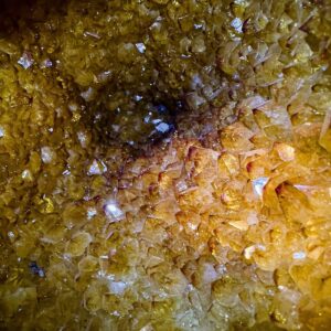 Sitrin Koleksiyoner 6A 5 Sarkaç Adam