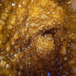 Sitrin Koleksiyoner 6A 7 Sarkaç Adam