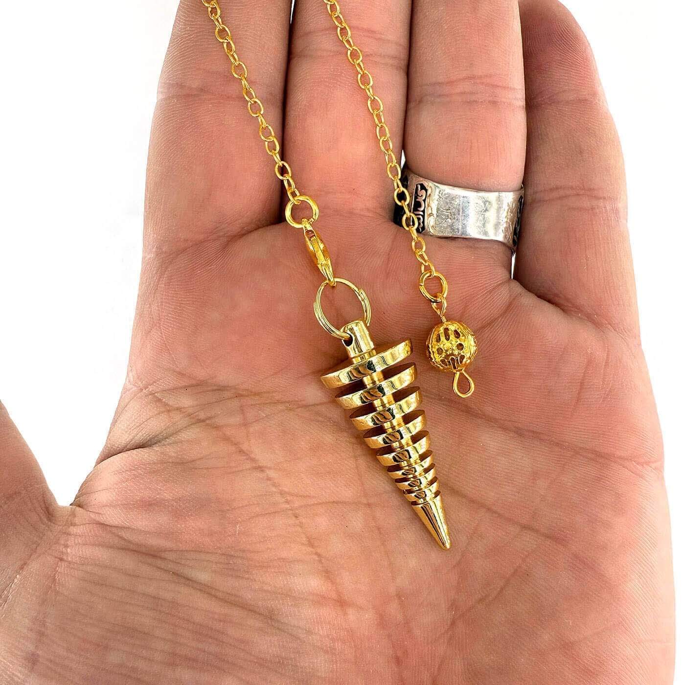 16014 1 Sarkaç Adam