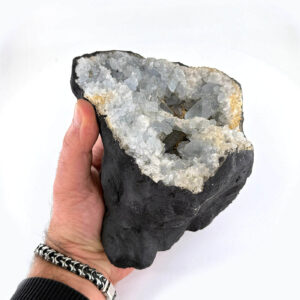 16028 2 Sarkaç Adam