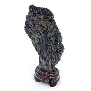 16030 1 Sarkaç Adam