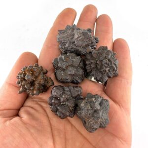 Flower Carbonado Siyah Elmas L Boy