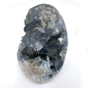 13105 2 Sarkaç Adam