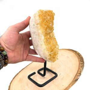 13196 2 Sarkaç Adam