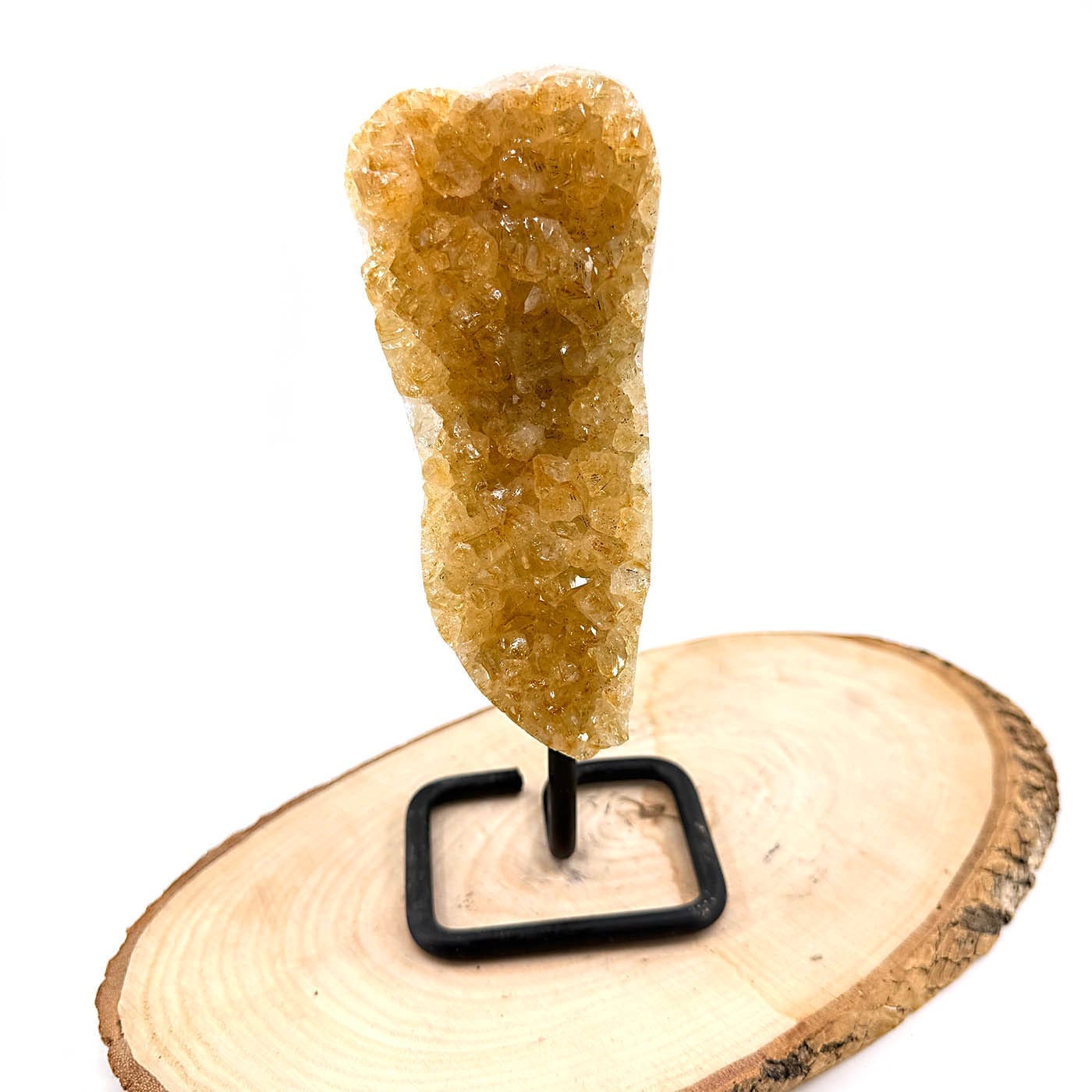 Sitrin Ham Taş Standlı