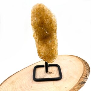 Sitrin Ham Taş Standlı