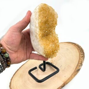 13197 3 Sarkaç Adam