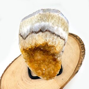 13198 3 Sarkaç Adam