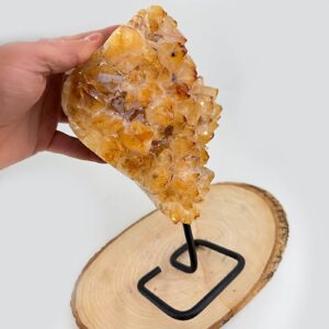 Sitrin Ham Taş Standlı