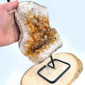 Sitrin Ham Taş Standlı