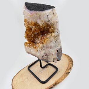 13201 3 Sarkaç Adam