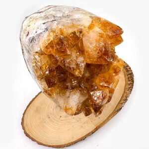 13202 3 Sarkaç Adam