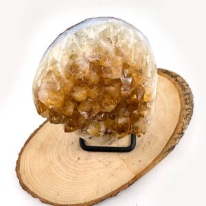 13203 3 Sarkaç Adam