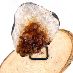 13204 3 Sarkaç Adam