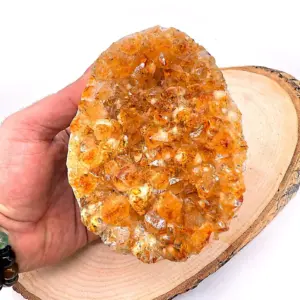 13205 2 1 Sarkaç Adam