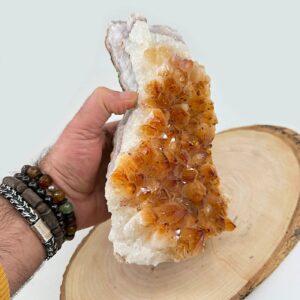 13215 3 Sarkaç Adam