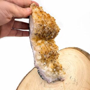 13216 3 Sarkaç Adam