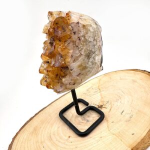 13220 3 Sarkaç Adam