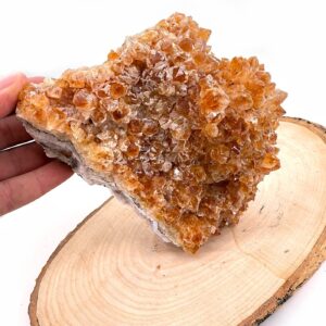 13240 3 Sarkaç Adam