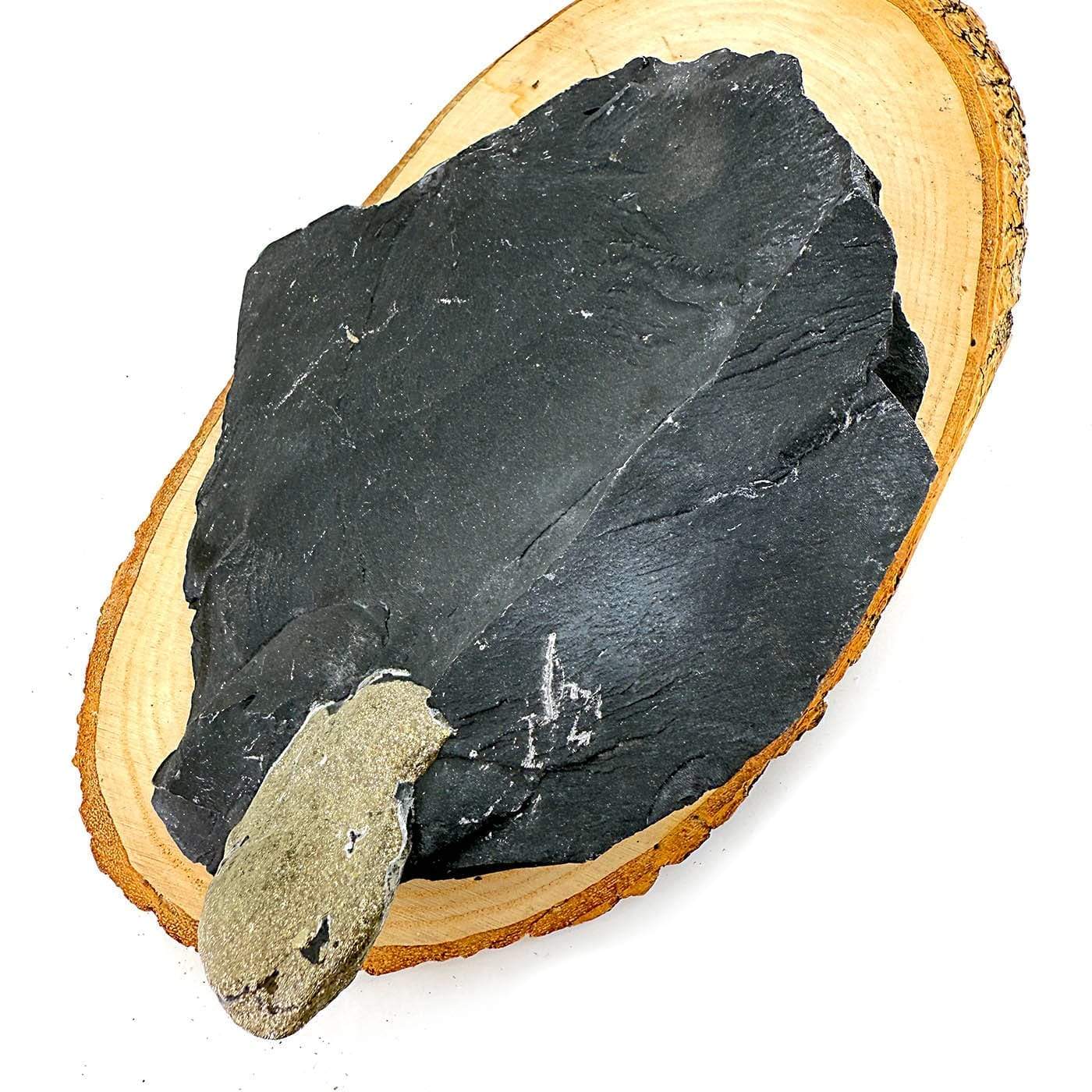 13243 1 Sarkaç Adam