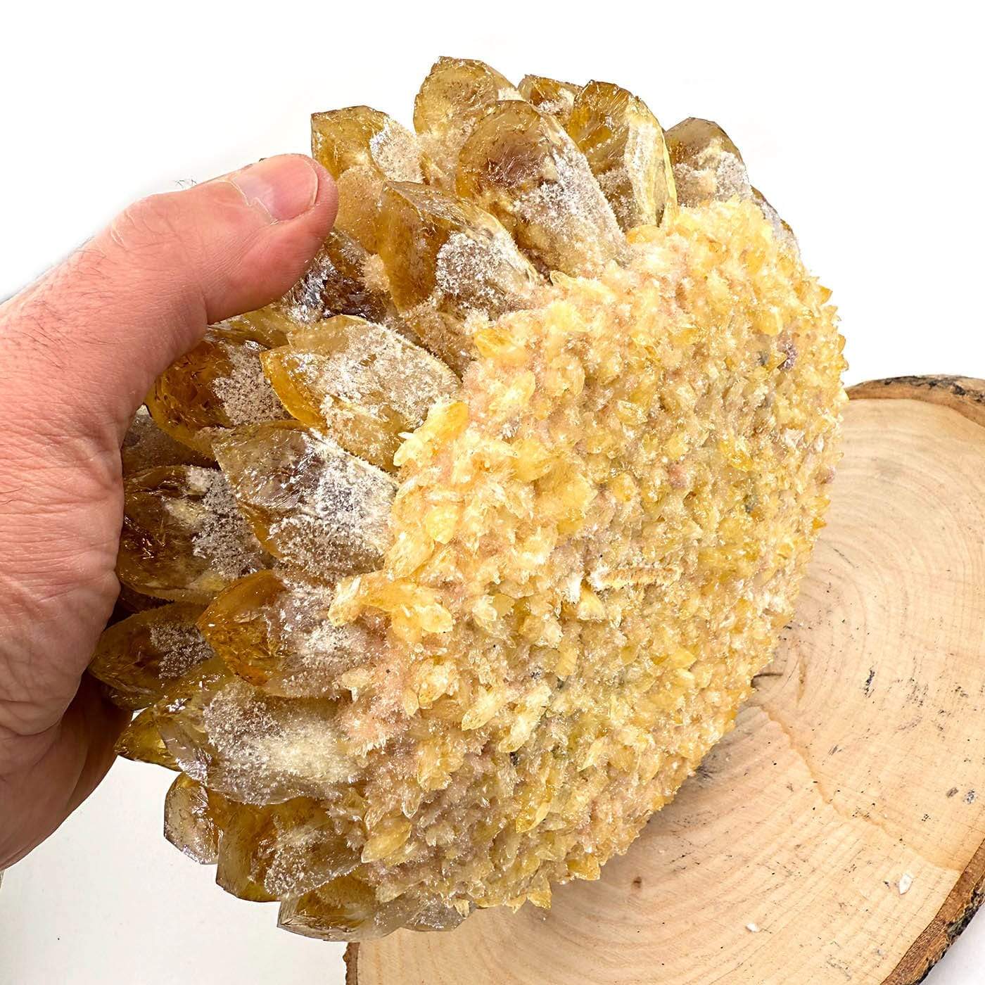 Sitrin Demeti - Görsel 2