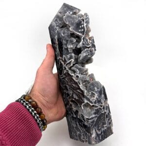 13452 2 Sarkaç Adam