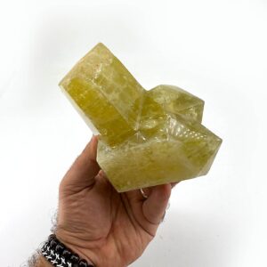 13464 2 Sarkaç Adam