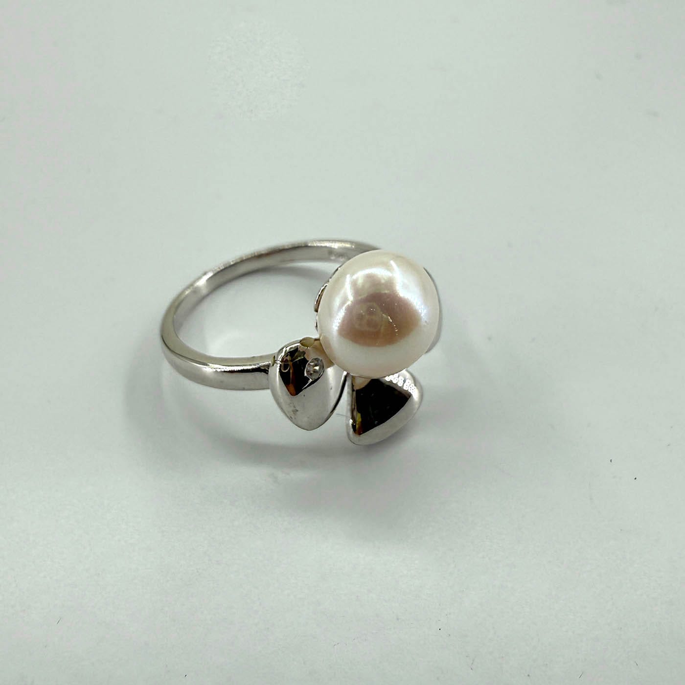 13482 1 Sarkaç Adam