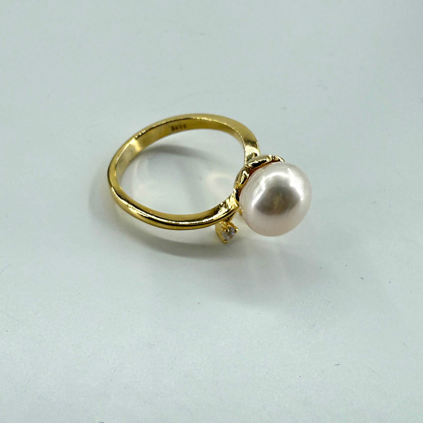 13488 1 Sarkaç Adam