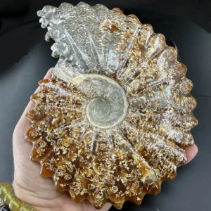 13554 2 Sarkaç Adam