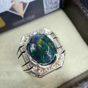 13557 2 Sarkaç Adam