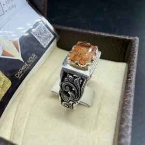 13558 2 Sarkaç Adam