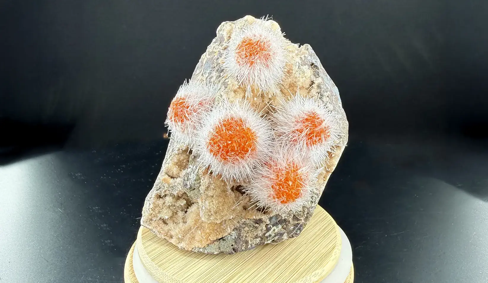 thomsonit Sarkaç Adam