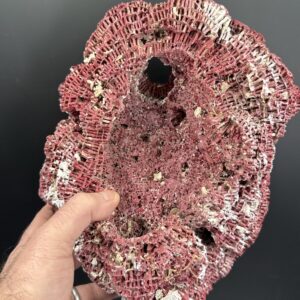 Alternative view of Kırmızı Mercan