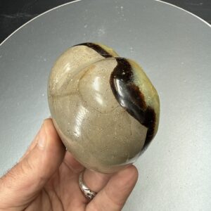 Septeryan Kalp Obje - 2